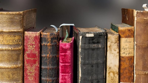 Picture of books on a shelf